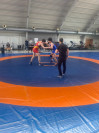 CSS Nr. 4 București, Organizeaza Zona Campionatului National Scolar Lupte Libere și Lupte Feminine – Pregătiri pentru Finala Campionatului Național Școlar -2024/2025 Image 2